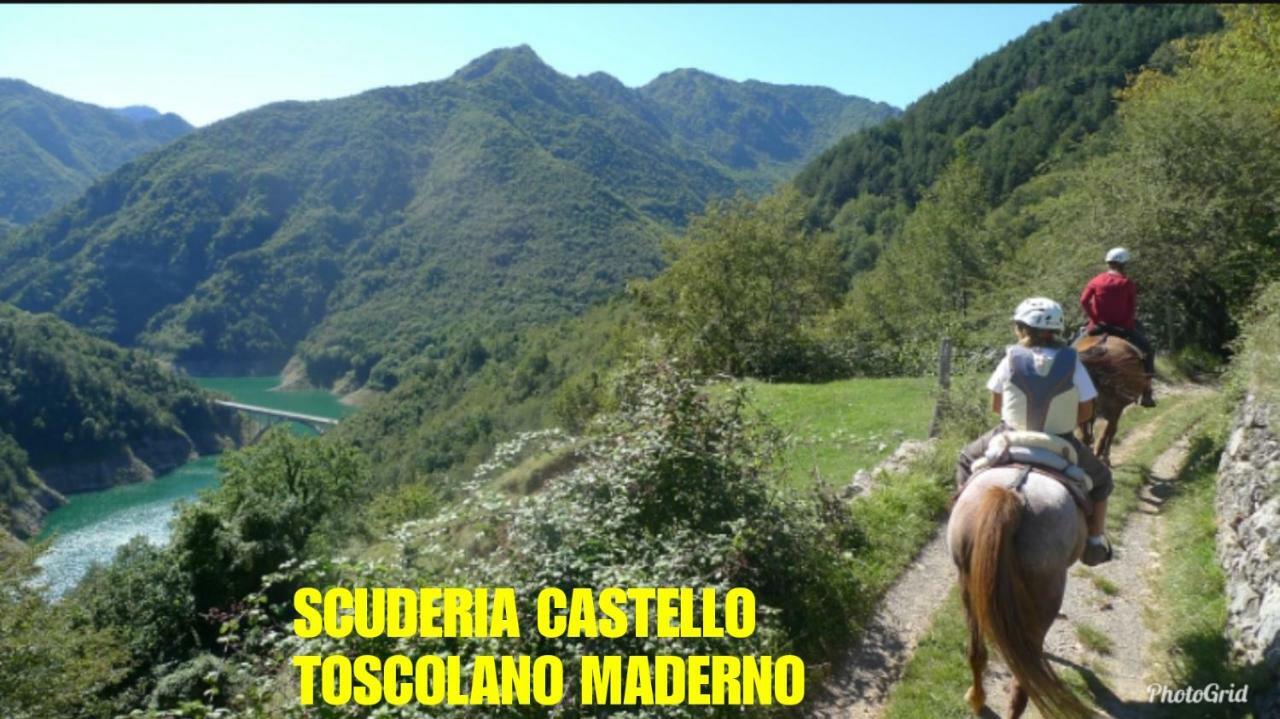 Dream Apartment Toscolano Maderno Εξωτερικό φωτογραφία